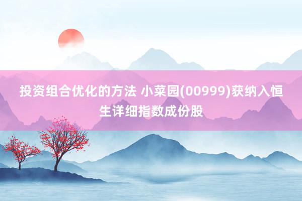 投资组合优化的方法 小菜园(00999)获纳入恒生详细指数成份股