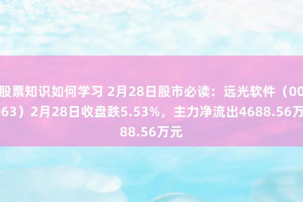 股票知识如何学习 2月28日股市必读：远光软件（002063）2月28日收盘跌5.53%，主力净流出4688.56万元