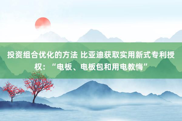 投资组合优化的方法 比亚迪获取实用新式专利授权：“电板、电板包和用电教悔”