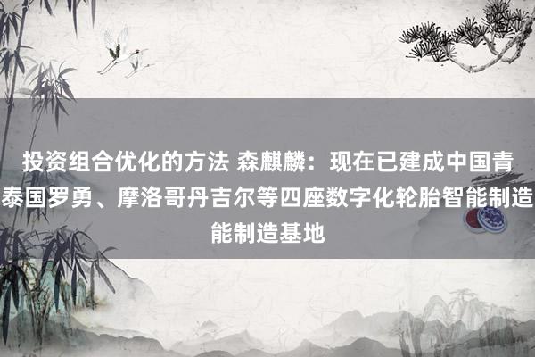 投资组合优化的方法 森麒麟：现在已建成中国青岛、泰国罗勇、摩洛哥丹吉尔等四座数字化轮胎智能制造基地