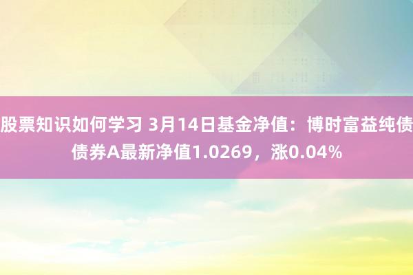 股票知识如何学习 3月14日基金净值：博时富益纯债债券A最新净值1.0269，涨0.04%