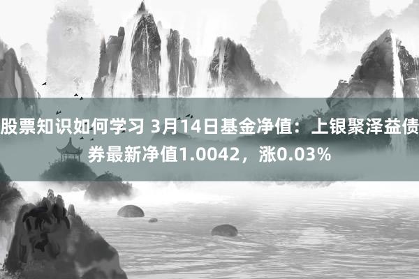 股票知识如何学习 3月14日基金净值：上银聚泽益债券最新净值1.0042，涨0.03%